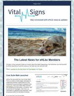 Cover of the Vital Signs newsletter